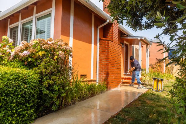 Best Fence Pressure Washing  in Metropolis, IL