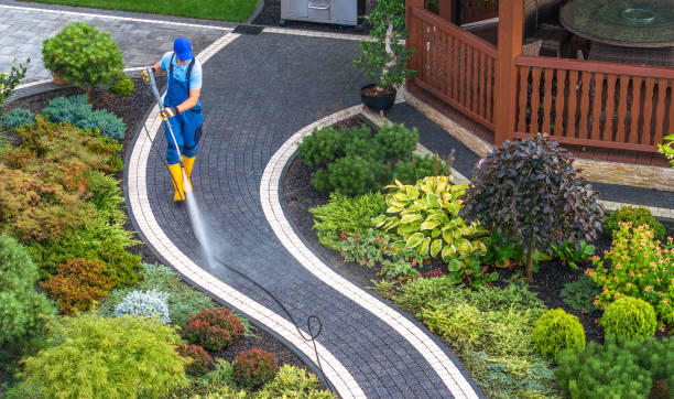 Best Pressure Washing Company Near Me  in Metropolis, IL